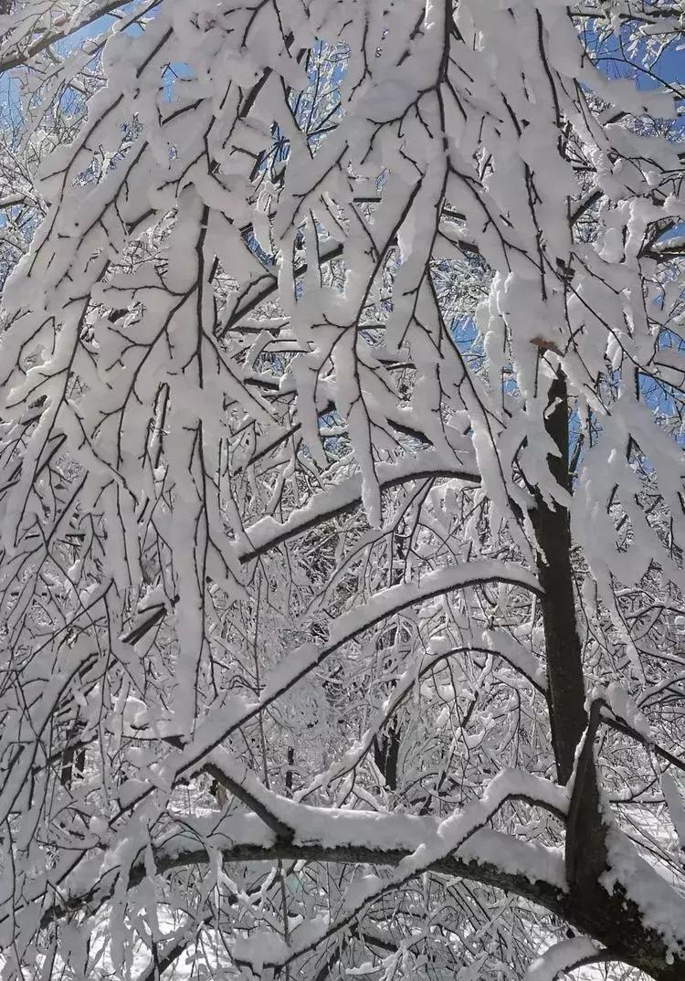 2019年延边州旅游,延边州春节期间活动