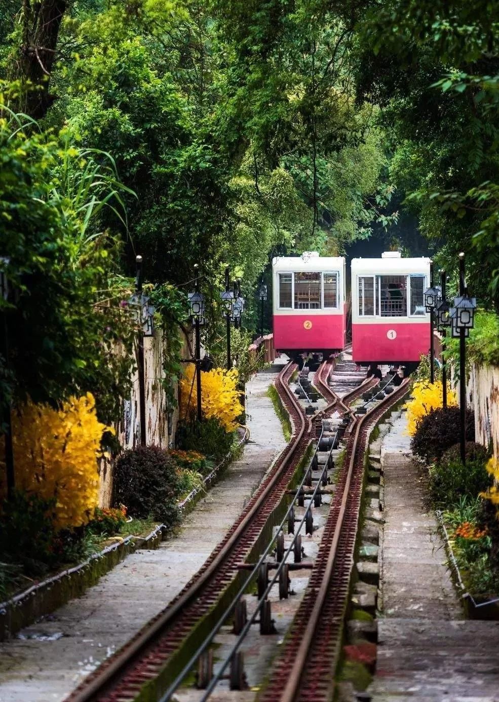 重庆的魔幻交通,重庆交通到底有多魔幻