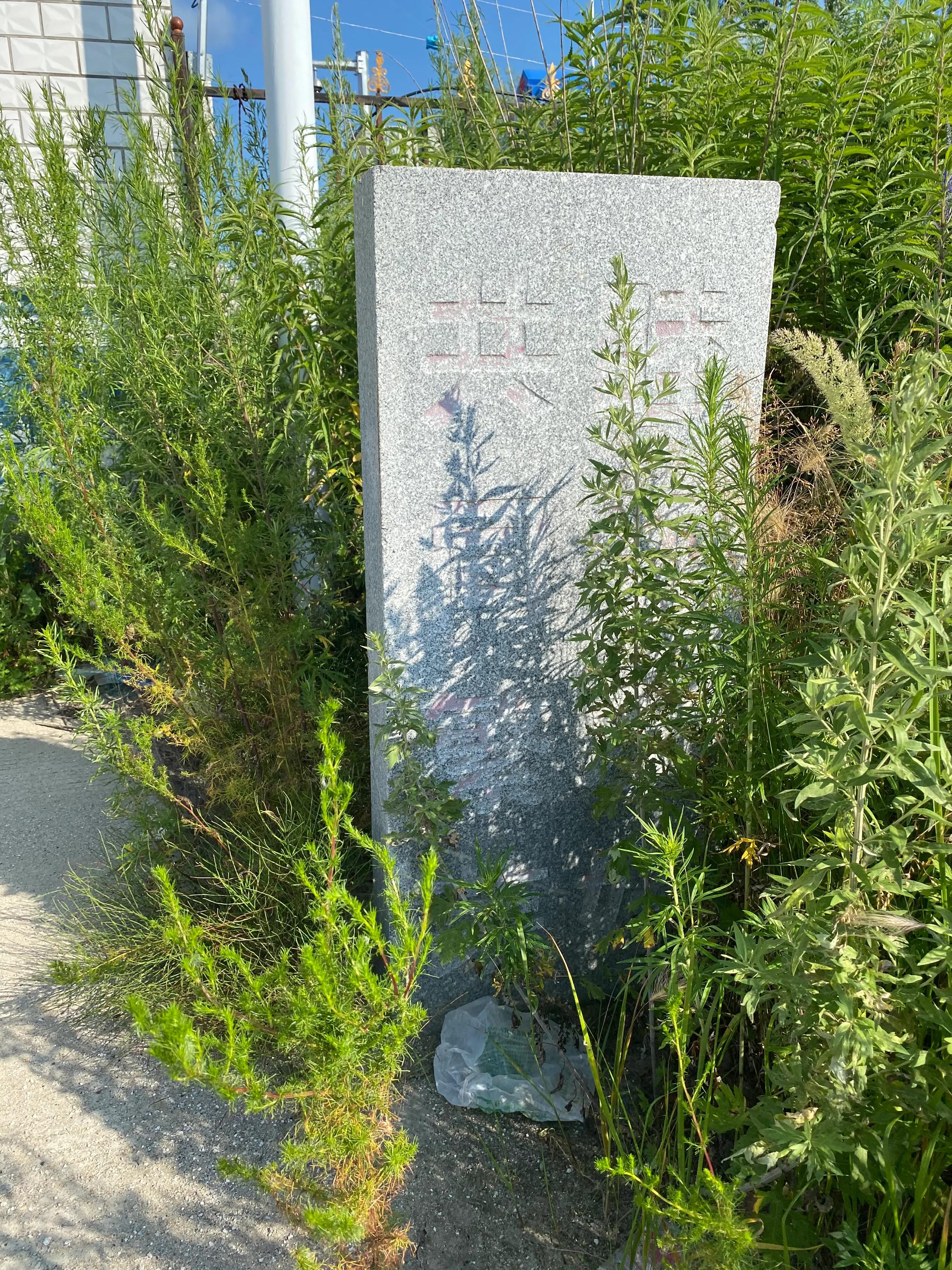 环驾中国之旅,环驾中国游