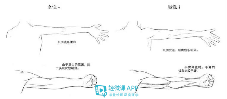 基础漫画人物画法教程,漫画人物画法教程初学简单又好看