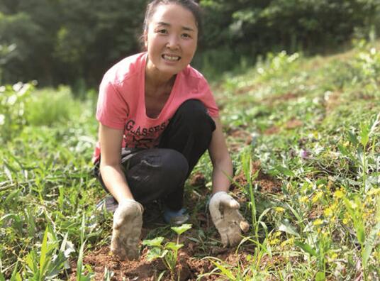 蒲公英、玉米须也能卖？人大代表梁倩娟：有淘宝电商，一切皆可盘