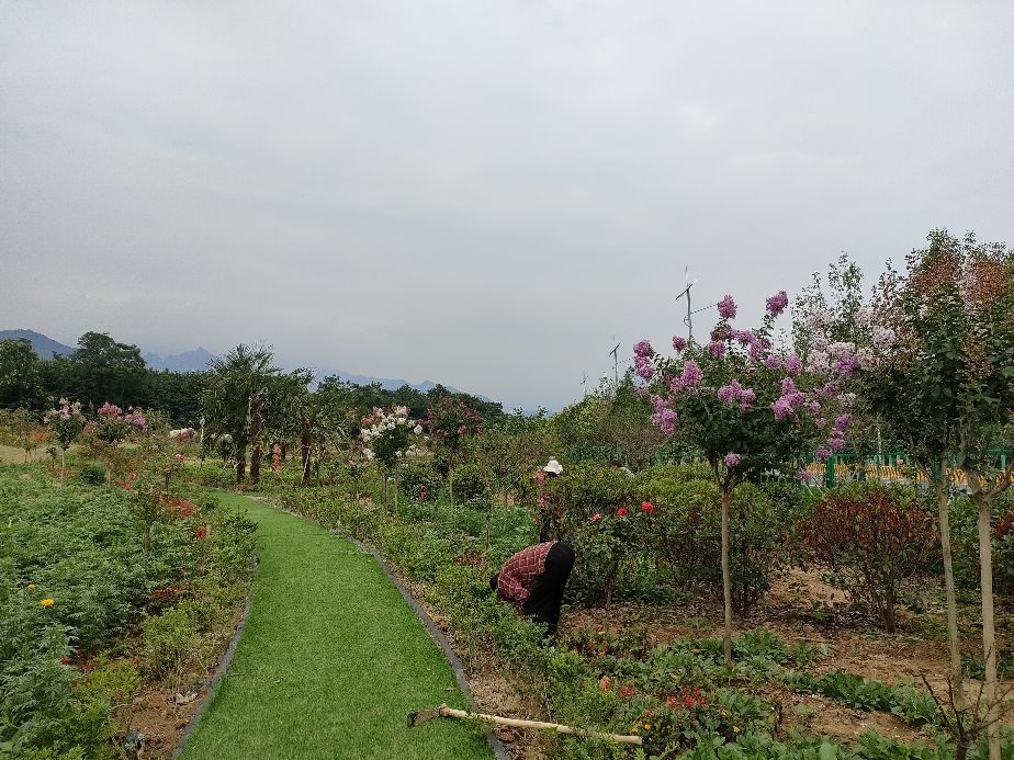 因过竹院逢僧话偷得浮生半日闲,偷得浮生半日闲下一句什么意思
