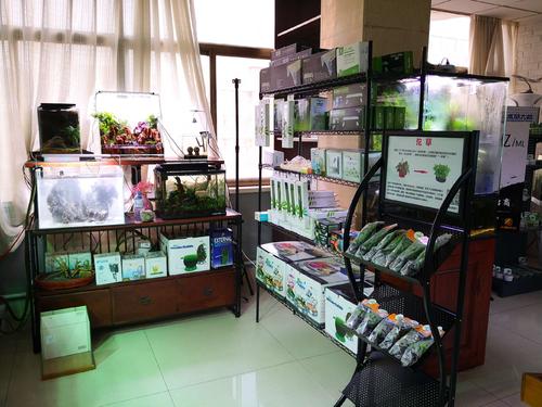 鱼缸最基础的设备,鱼缸养鱼所要的设备