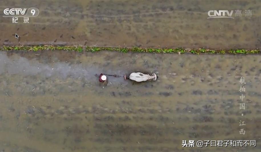 航拍中国江西完整版,航拍中国鄱阳湖