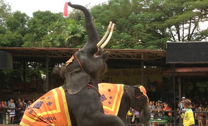 去泰国自由行攻略详细,泰国五日自由行攻略最详细