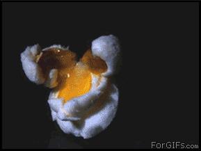 当画面全部慢下来的时候,当画面定格在一瞬间