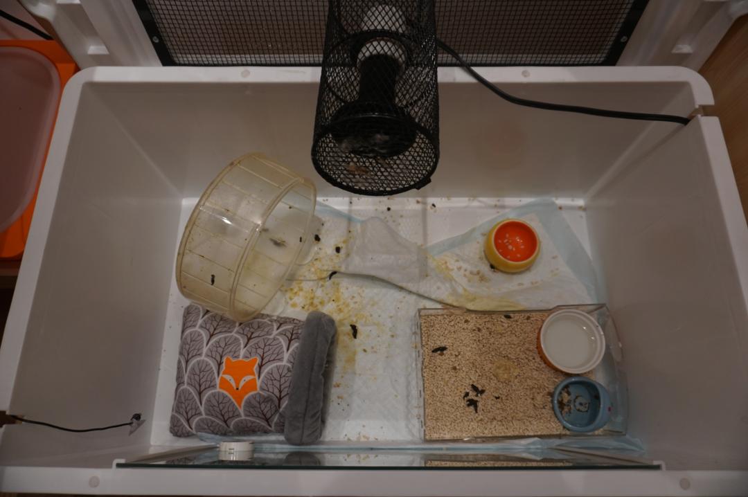 0首付月供约3000起,0首付月供5000左右