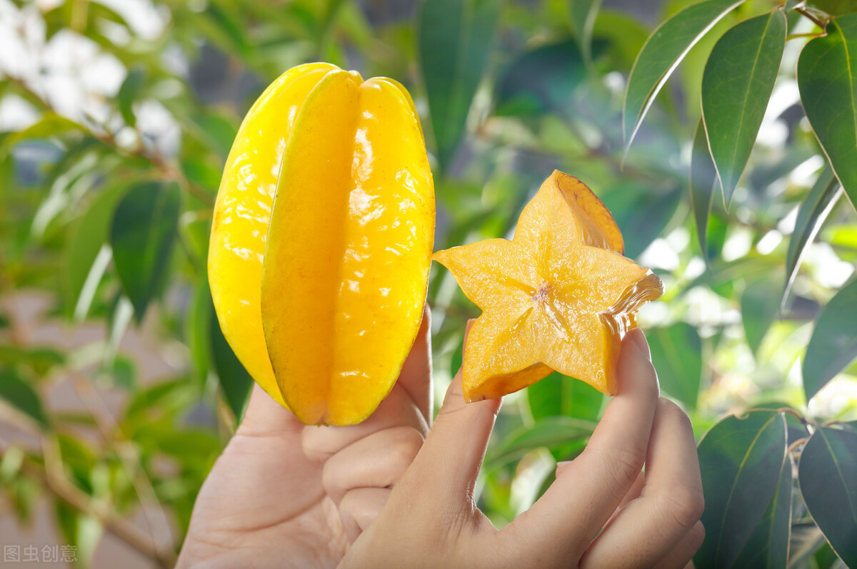 杨桃是热性还是凉性水果,杨桃是凉性还是热性水果