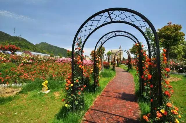 宁波周末带娃玩的好去处,宁波旅游度假山庄