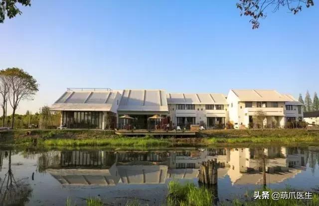 上海可带宠物入住的酒店推荐,怎么选宠物友好酒店房间