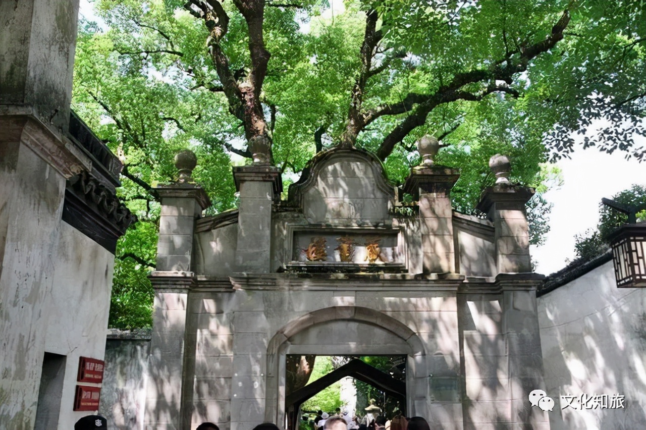 江南南浔古镇美景视频,江南南浔古镇