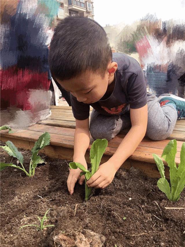 特色幼儿园活动区,高端幼儿园特色活动