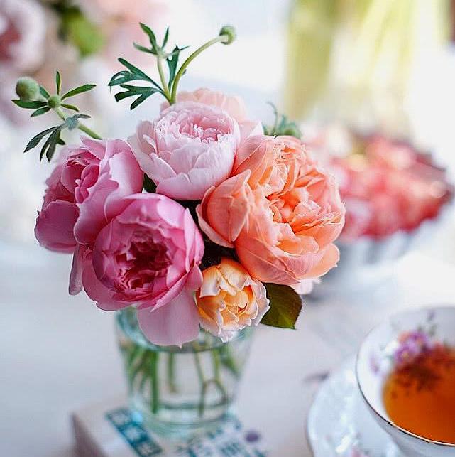 职场爱情43集完整版,职场爱情34集