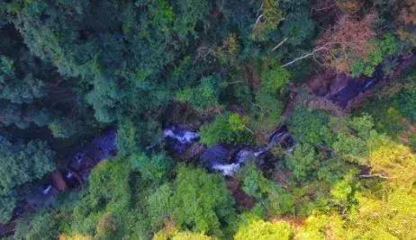 从1000米高处能看风景,从五百米高空看地面什么感觉
