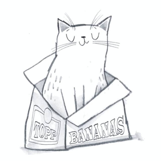 姑娘1天画1只猫坚持了100天 (坚持画猫100天的姑娘太有才了)