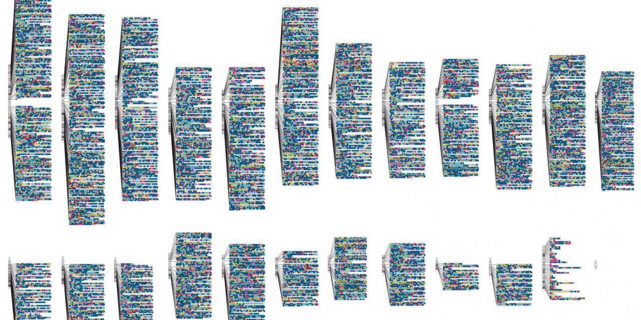 火化后的骨灰能检测dna吗,火化后骨灰能做dna检查吗