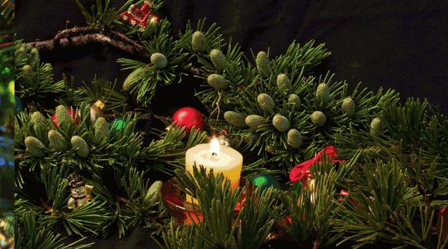 戚薇颜值巅峰到底有多高,戚薇现在为什么那么显老