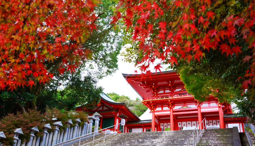 游览琵琶湖,日本琵琶湖旅游攻略