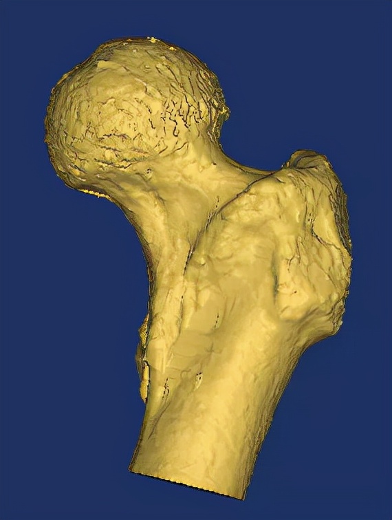 ipad3d雕刻建模软件,从新手到大师刻意练习