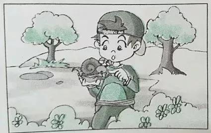 看图写话句式专项训练,看图写话万能公式口诀