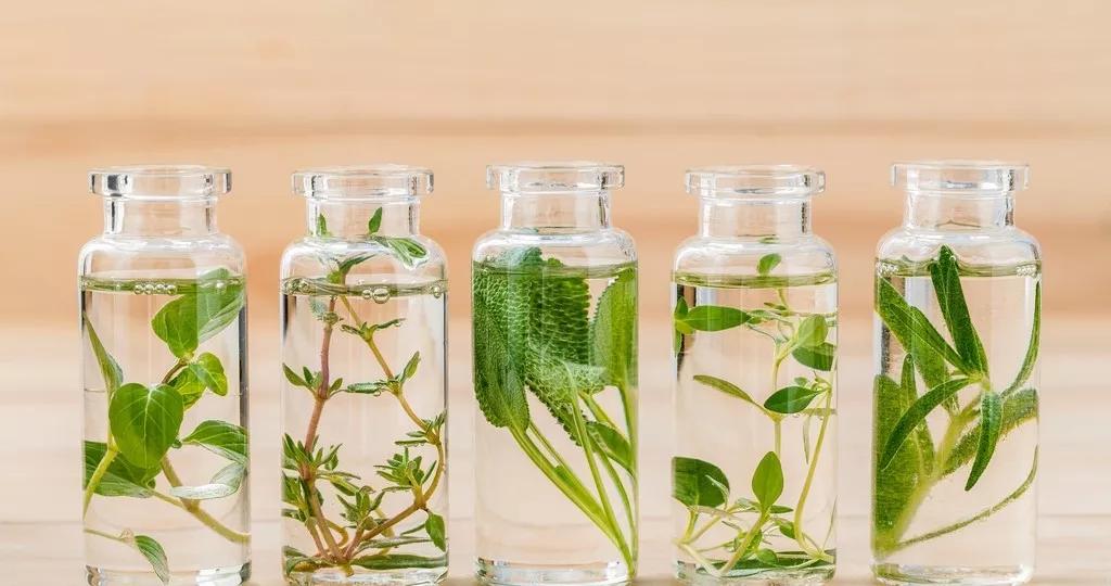 推拿精油注意事项,精油推背注意事项禁忌症