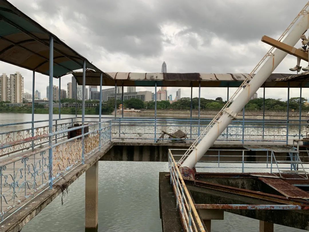 百分百广东制造*欲情**片，导演亲自分享创造内幕