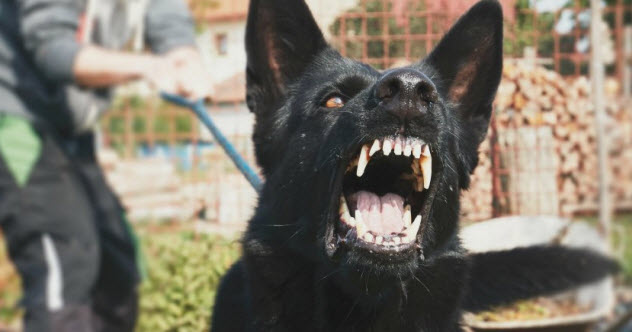 唾液的功效和作用的视频,唾液对人体居然有这九大功能