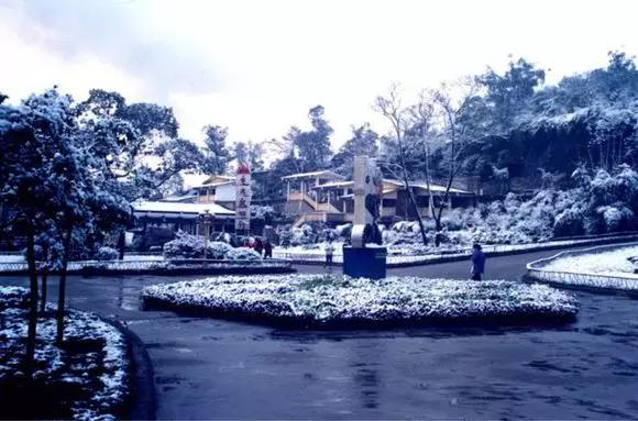 记忆中的重庆美景,重庆九龙坡记忆