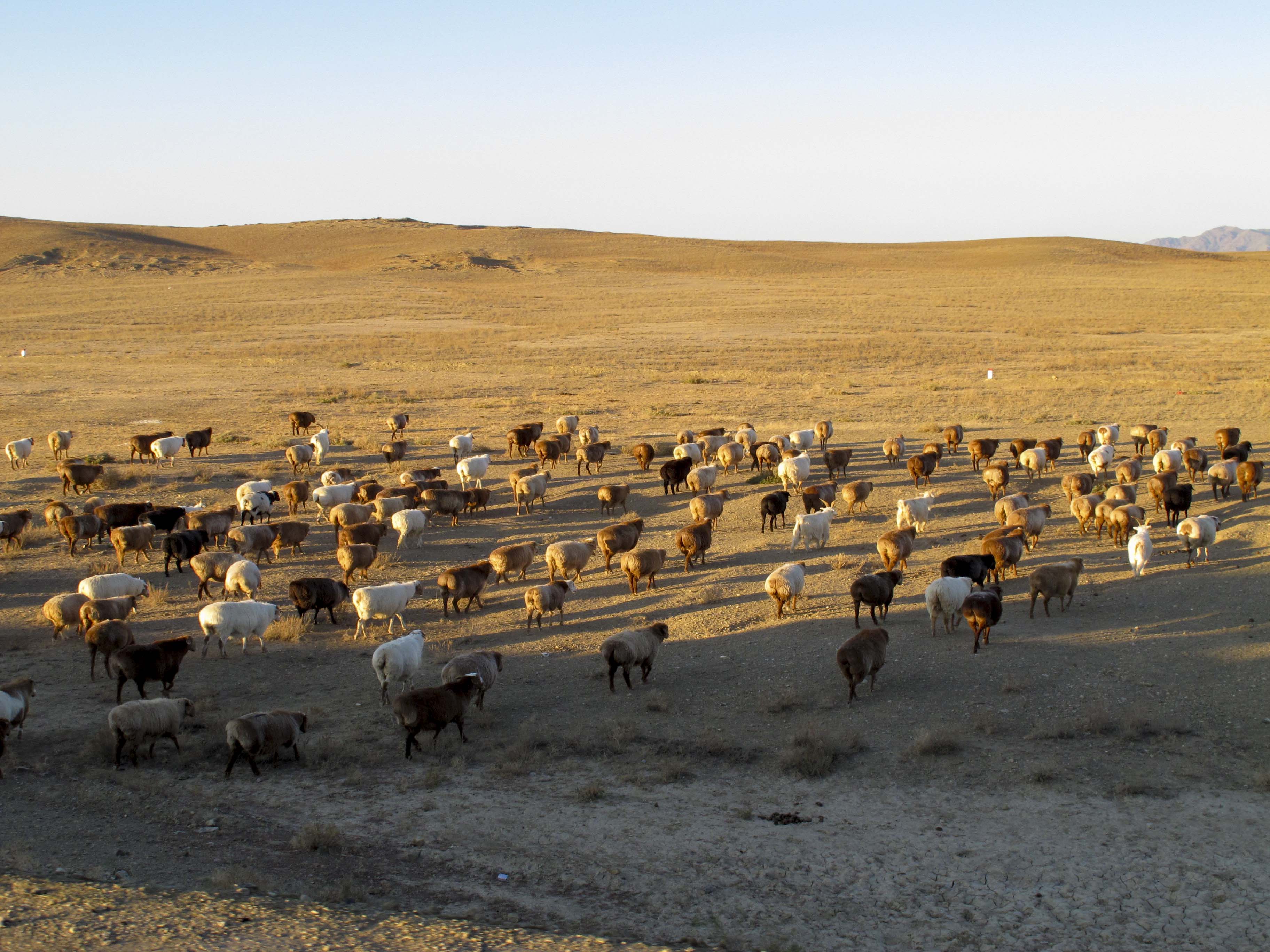 南山牧场，未曾改变的山水未曾改变的哈萨克人，织成的画卷真美