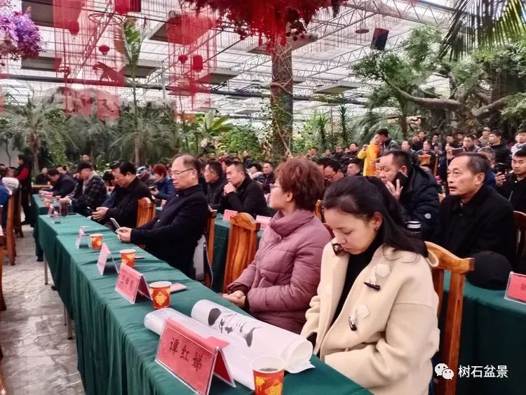 伟大使命复兴中国盆景艺术事业——2019中盆会大事回顾(下篇)