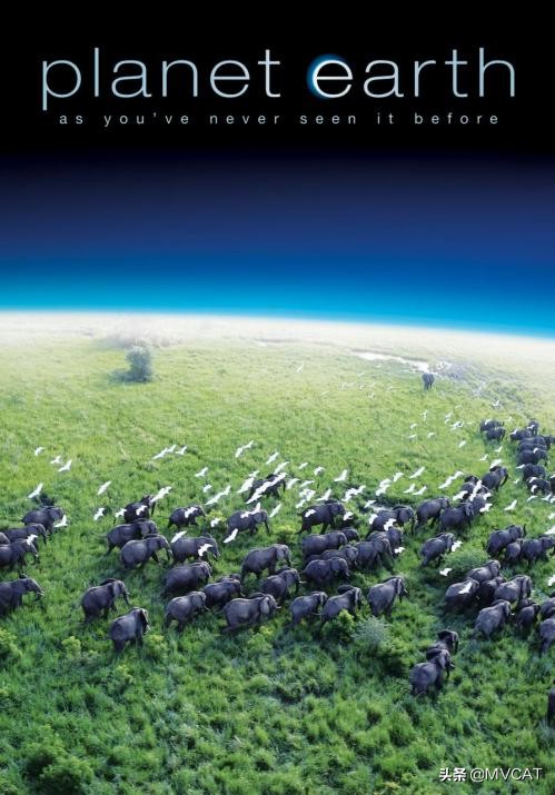 500部自然纪录片,最好看的自然纪录片