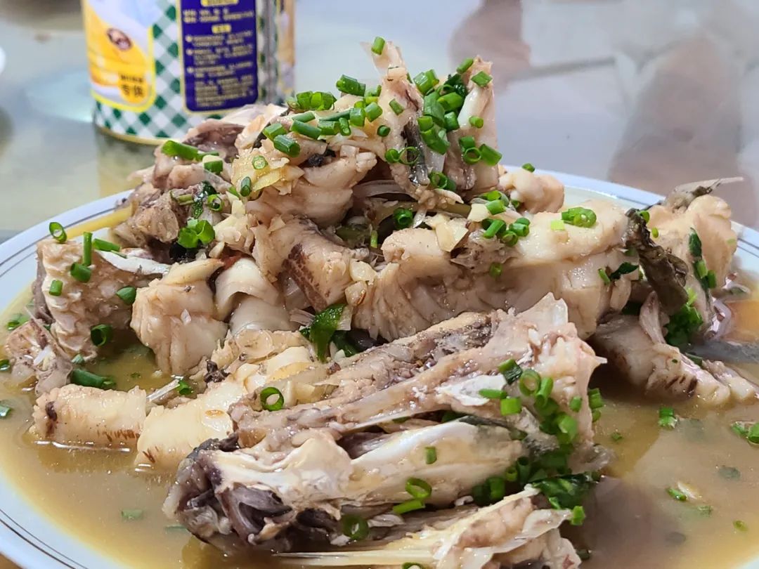 海南之行记录全集,海南之行的记录