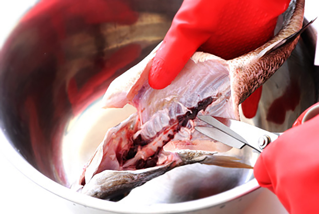 鱼汤熬出后特别腥，问了饭店的厨师才知道，第一步就做错了！