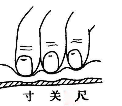 把脉是不是骗术,把脉的真与假