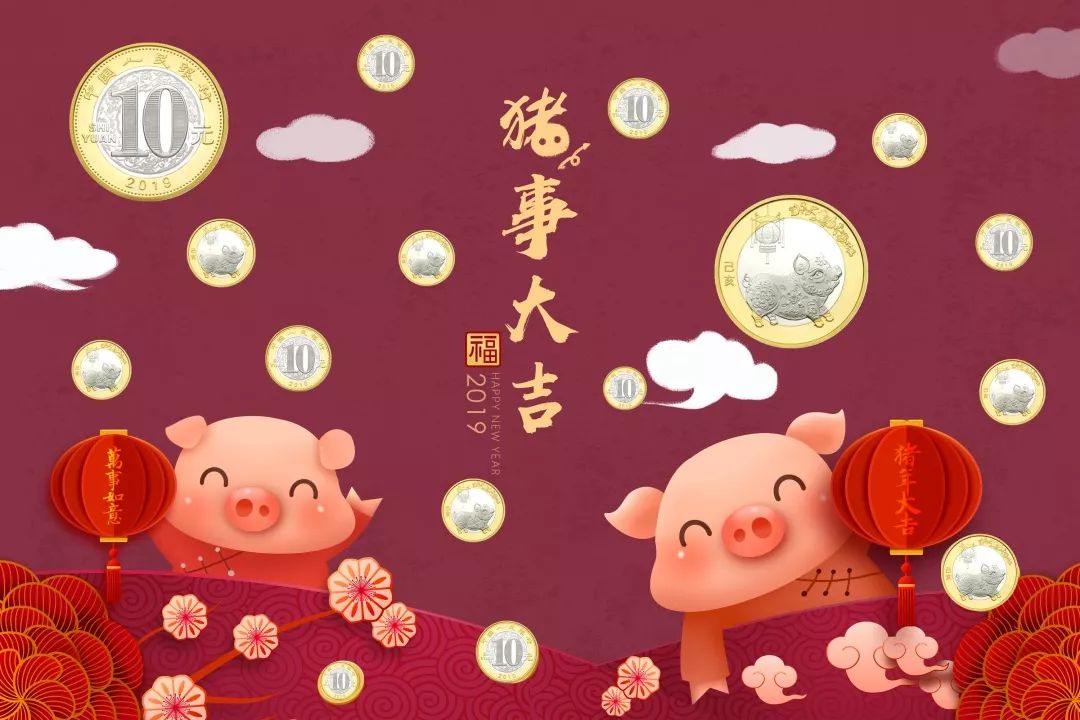欣赏猪币，美美猪年！