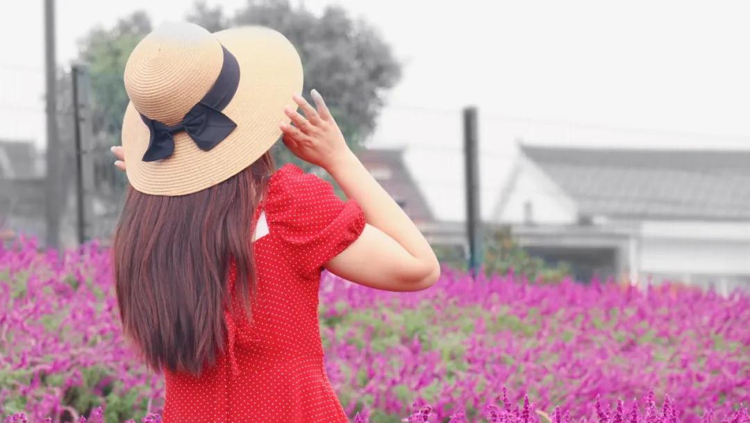 浦口好看的花海,浦口最好的花海