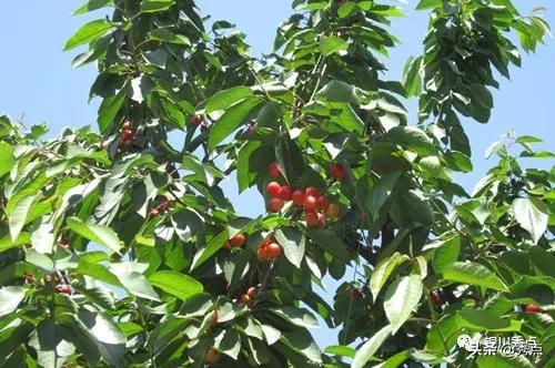 铜川美景照,铜川风景秀丽自然美景