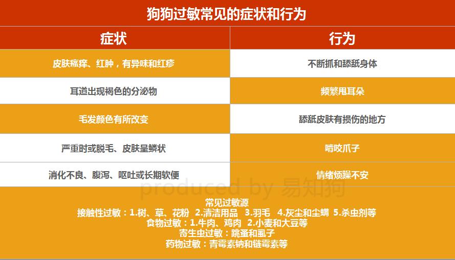 居家狗狗生活训练,日常护理狗狗皮肤不瘙痒