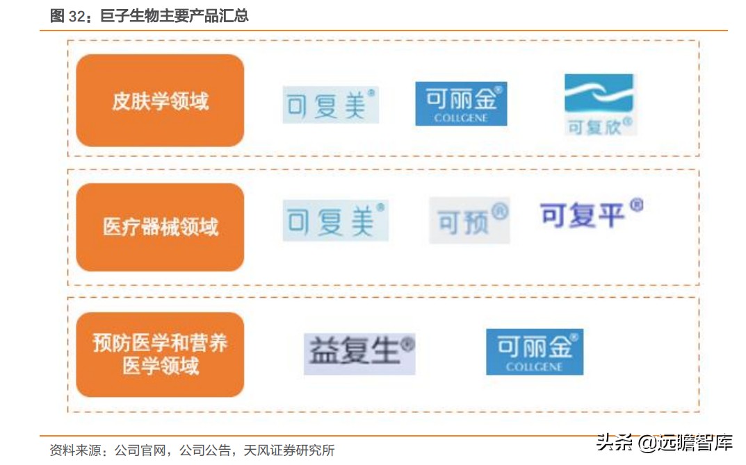 重组胶原蛋白未来趋势,胶原蛋白重组是高端产业吗