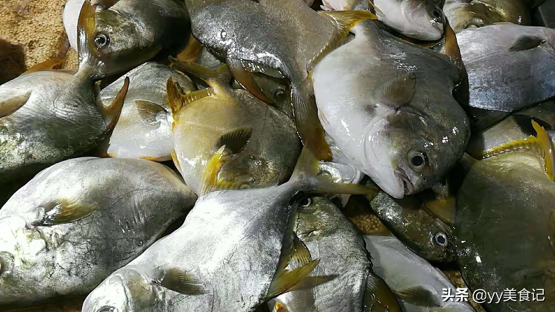 东兴便宜的海鲜市场 (东兴哪里有海鲜新鲜的)