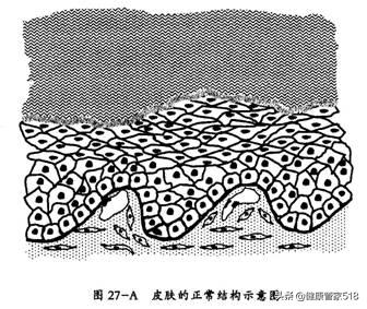 为啥会过敏什么原因导致的,酒精过敏怎样改善过敏体质