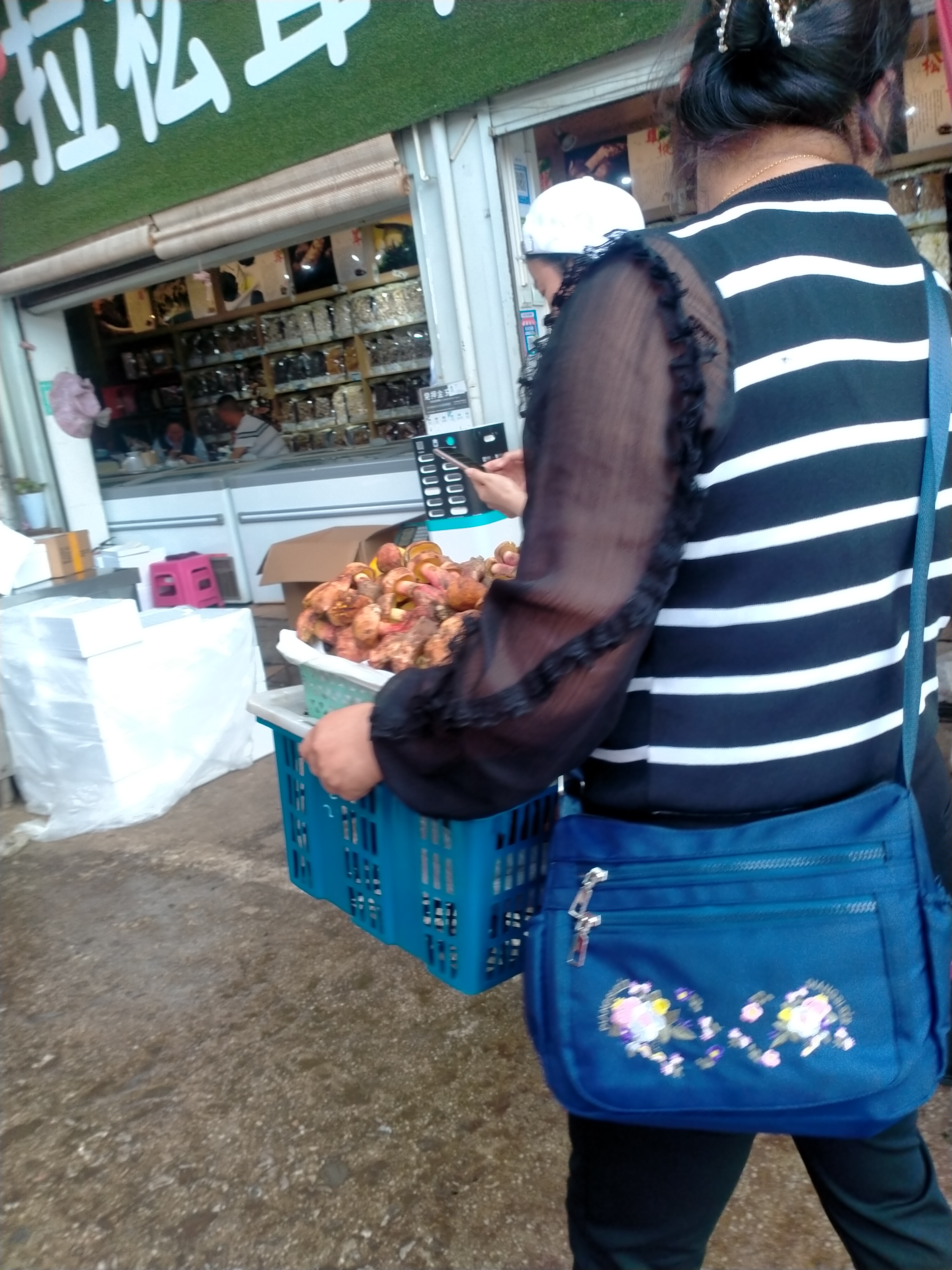 昆明木水花野生菌今天的行情视频 (云南昆明木水花野菌市场)