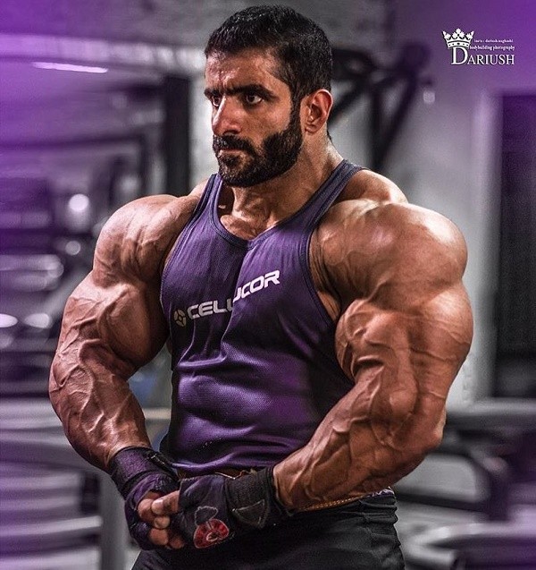 健身补剂之促睾类产品,促睾健身补剂真的有用吗