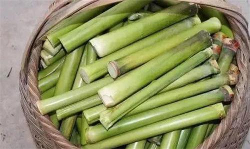 小时候吃过三种美食,吃五种童年零食