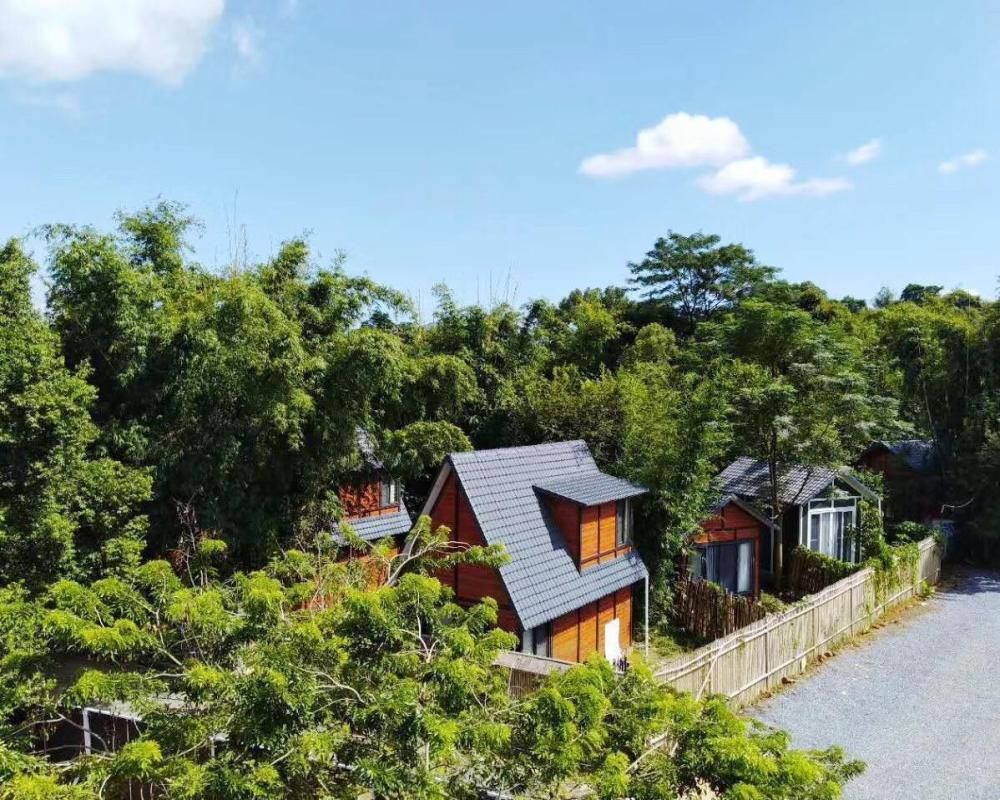 广州周边民宿深山老林,广州附近绝美民宿