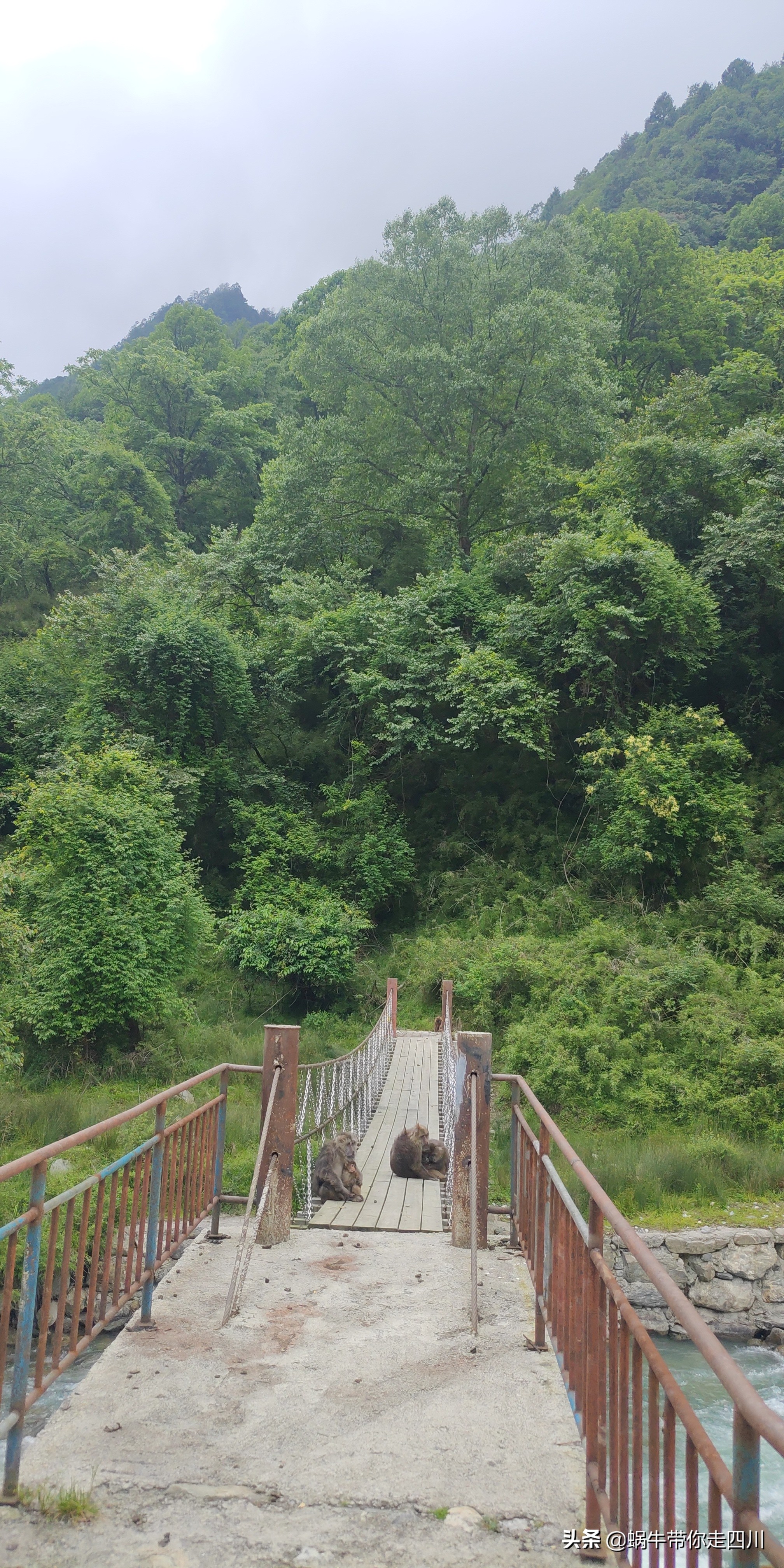 成都到西藏旅游一家三口,成都出发三天两夜旅行套票