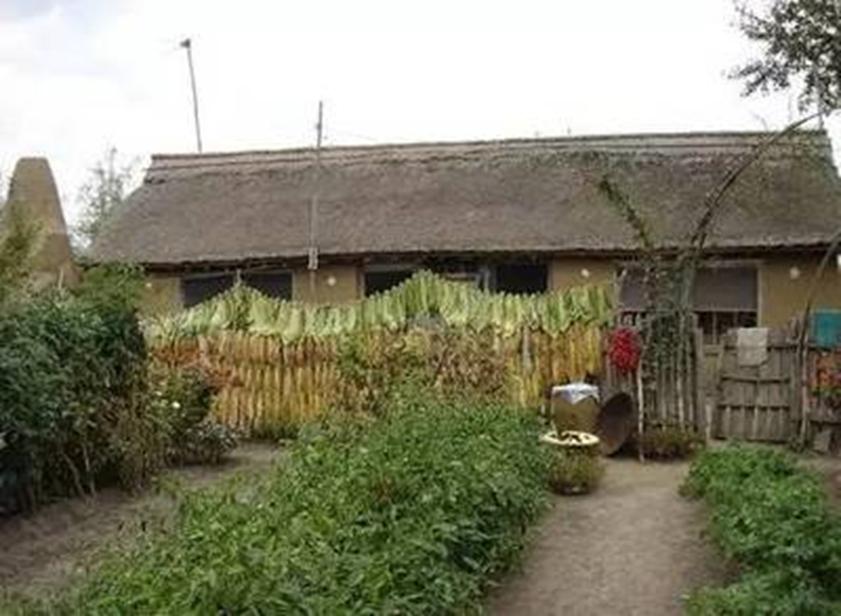 冬暖夏凉的土坯墙,冬暖夏凉的屋顶