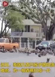 疫情下岗人的现状,疫情下岗