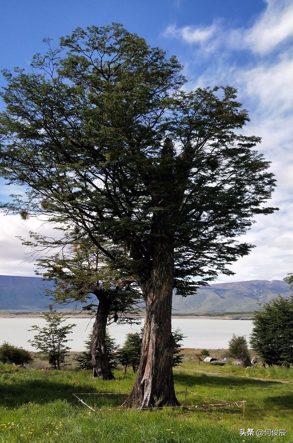 阿根廷莫雷诺大冰川最佳季节,莫雷诺冰川回埃尔卡拉法特时间