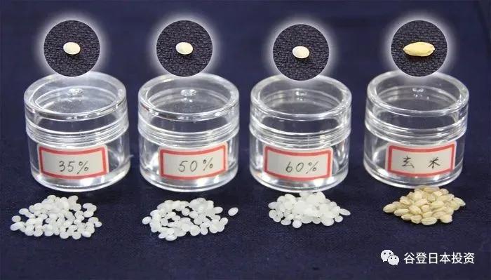 日本green清酒,日本清酒轻酒会